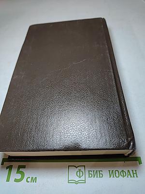 Необыкновенные приключения Нестора Бюрма