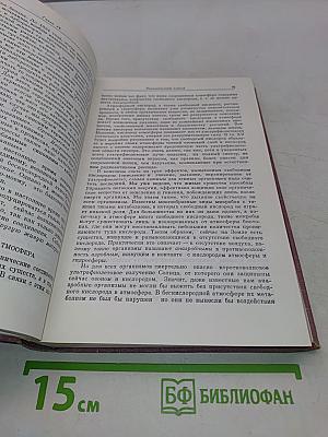 Происхождение жизни (Естественным путем)