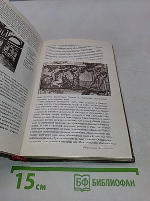 История искусств. Западно-европейское искусство