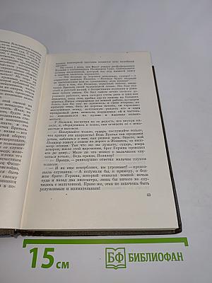 Собрание сочинений. Том двадцать второй. Четверо Евангелистов