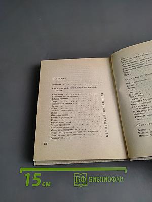 Витражных дел мастер