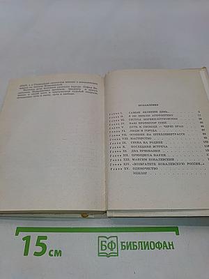 Принцесса науки. Повесть о жизни Софьи Ковалевской