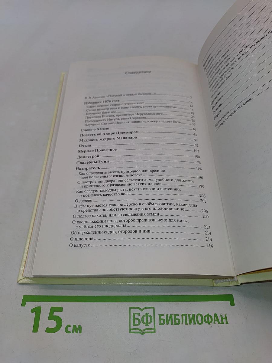 Как жену учить, как себя лечить, как судьбу узнать. Из книг Древней Руси