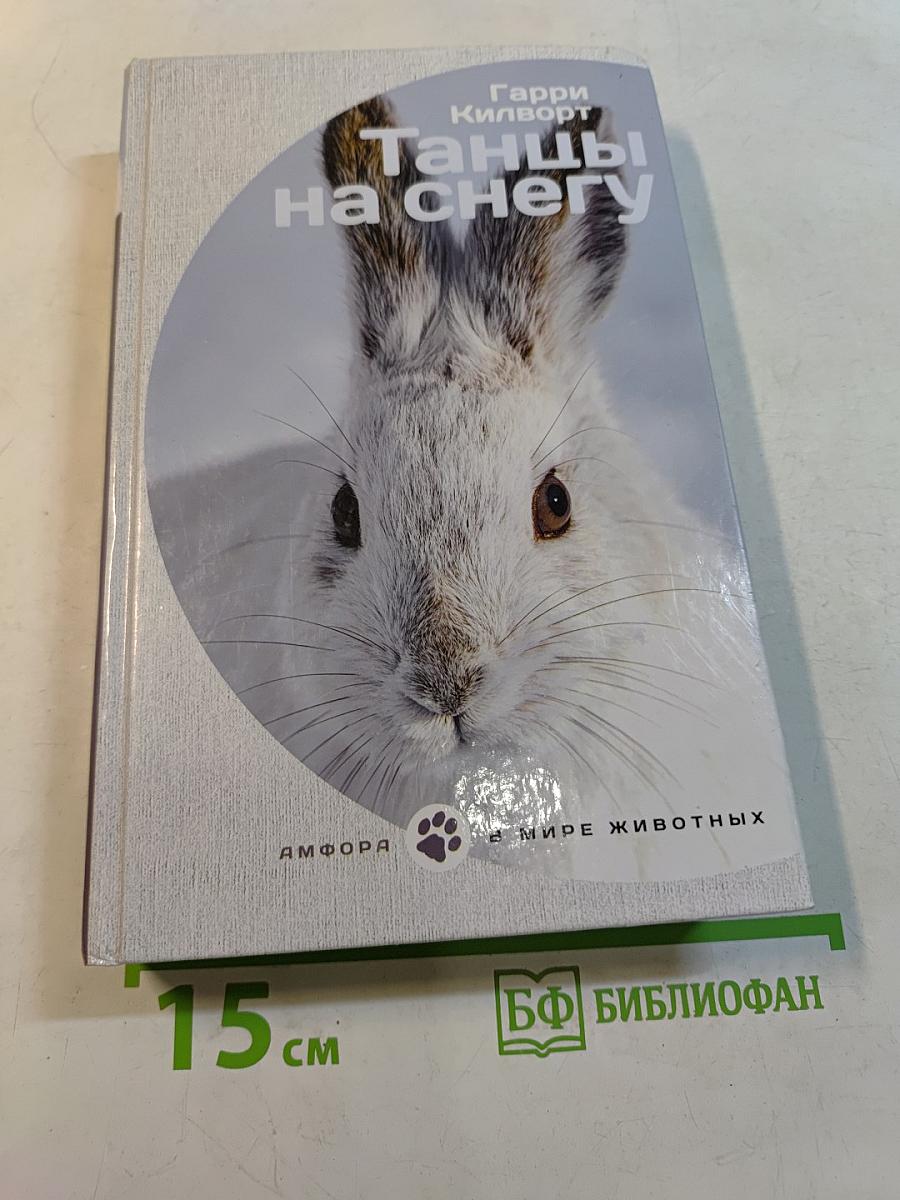 Танцы на снегу