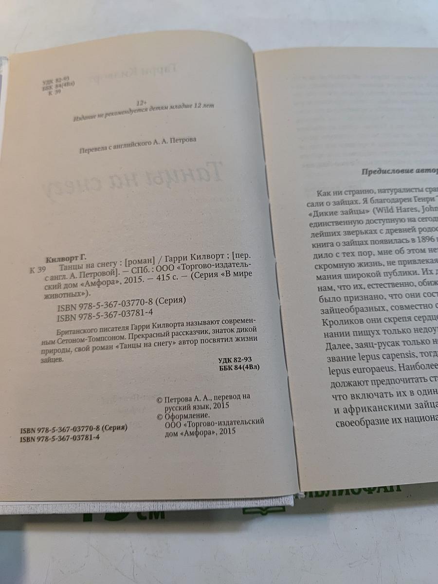 Танцы на снегу