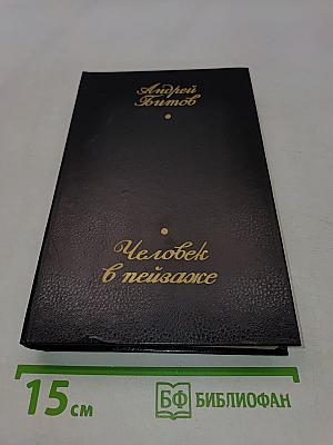 Человек в пейзаже. Повести и рассказы
