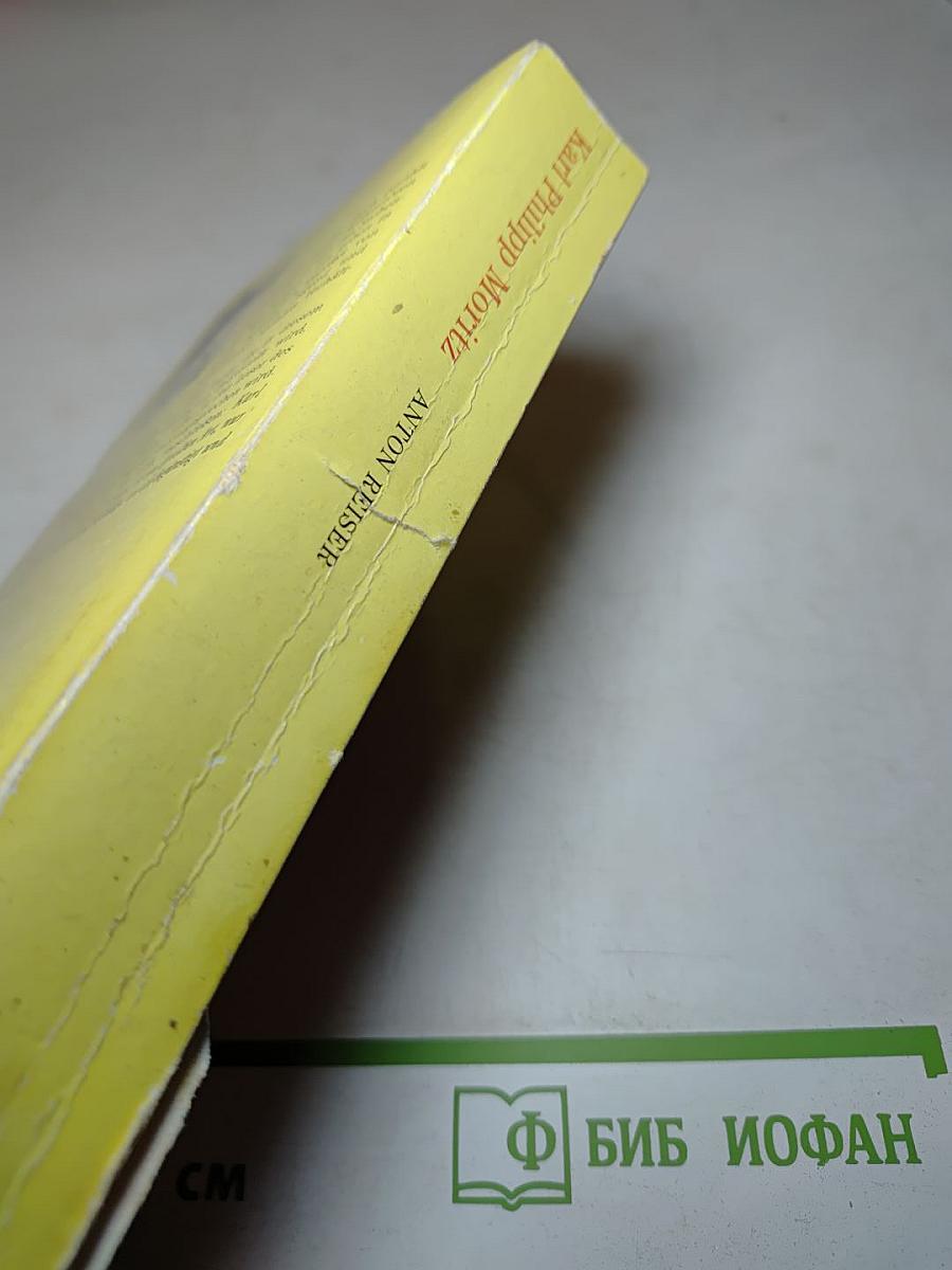 Антон Райзер