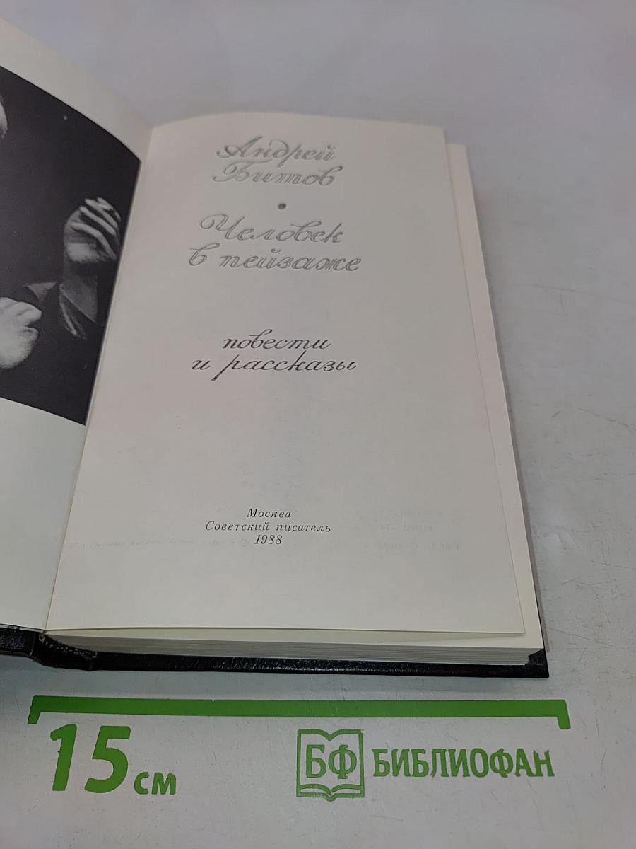 Человек в пейзаже. Повести и рассказы
