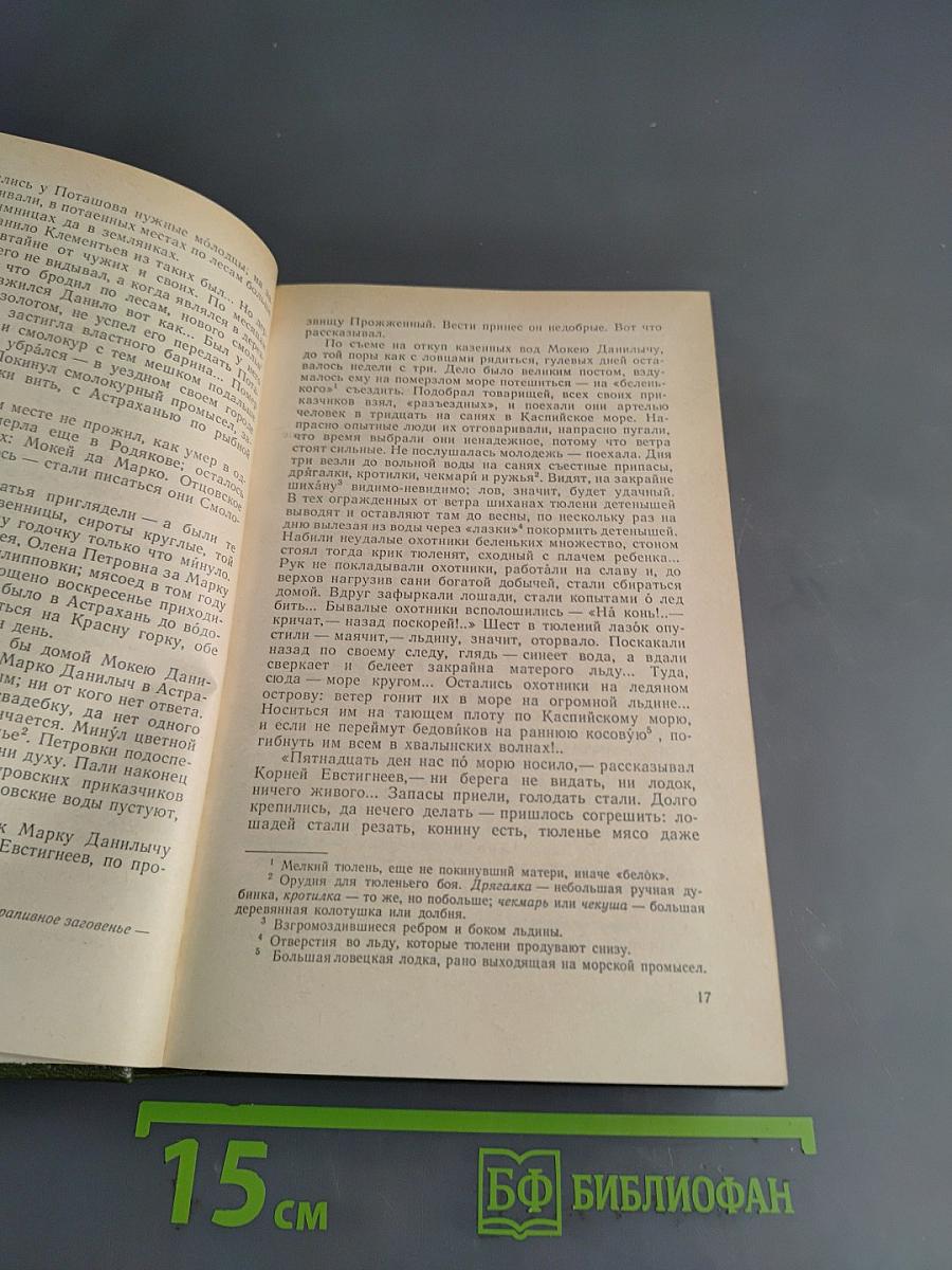 На горах. Продолжение рассказов «В лесах». В двух книгах. Книга первая