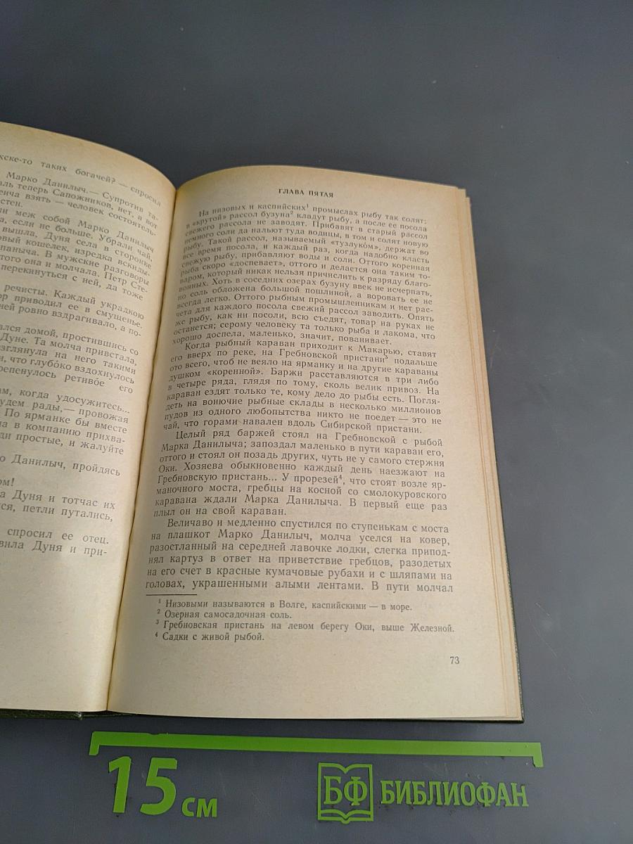 На горах. Продолжение рассказов «В лесах». В двух книгах. Книга первая