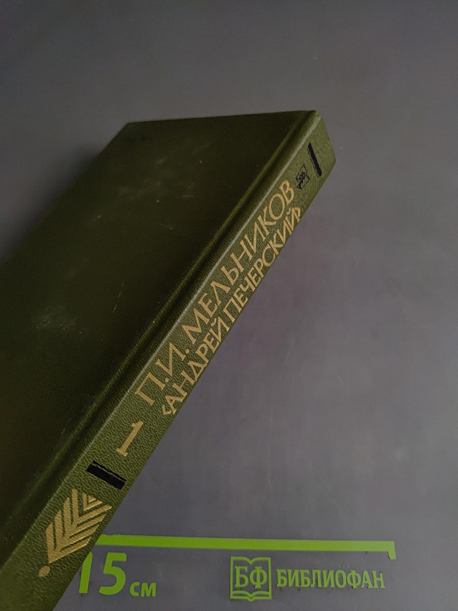 На горах. Продолжение рассказов «В лесах». В двух книгах. Книга первая
