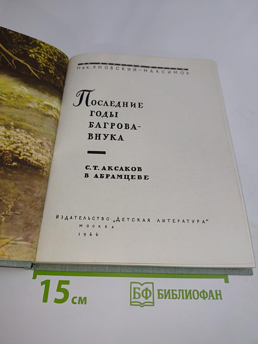 Последние годы Багрова-внука