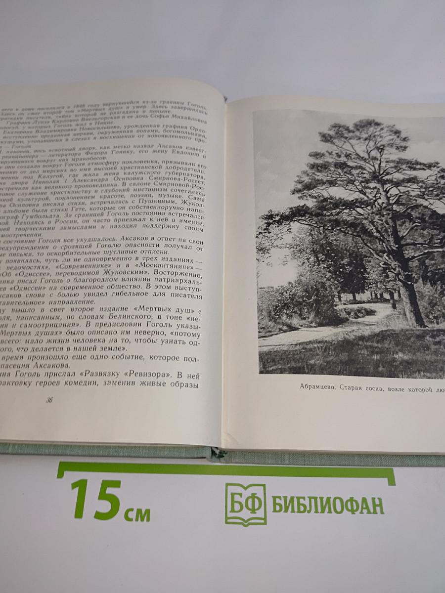 Последние годы Багрова-внука
