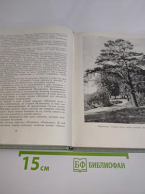 Последние годы Багрова-внука