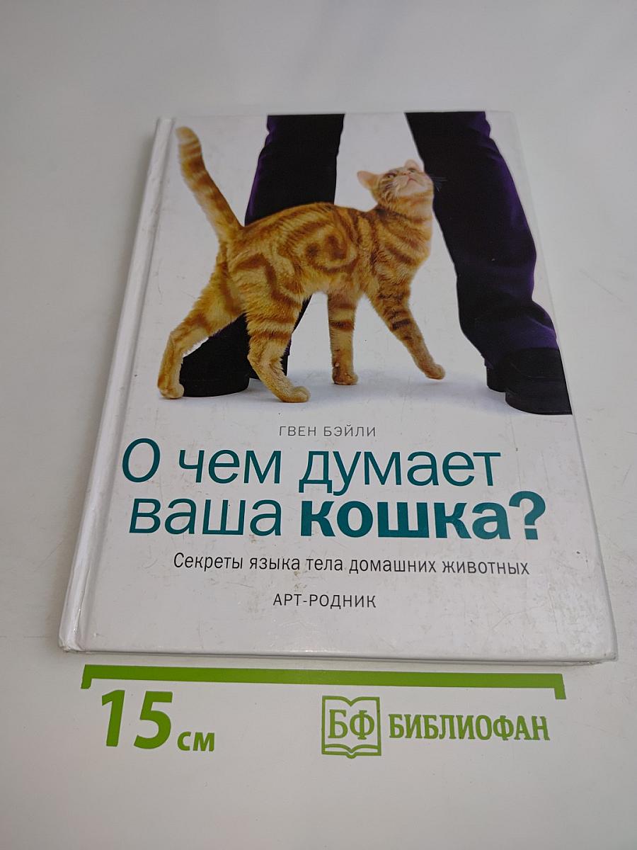 О чем думает ваша кошка?