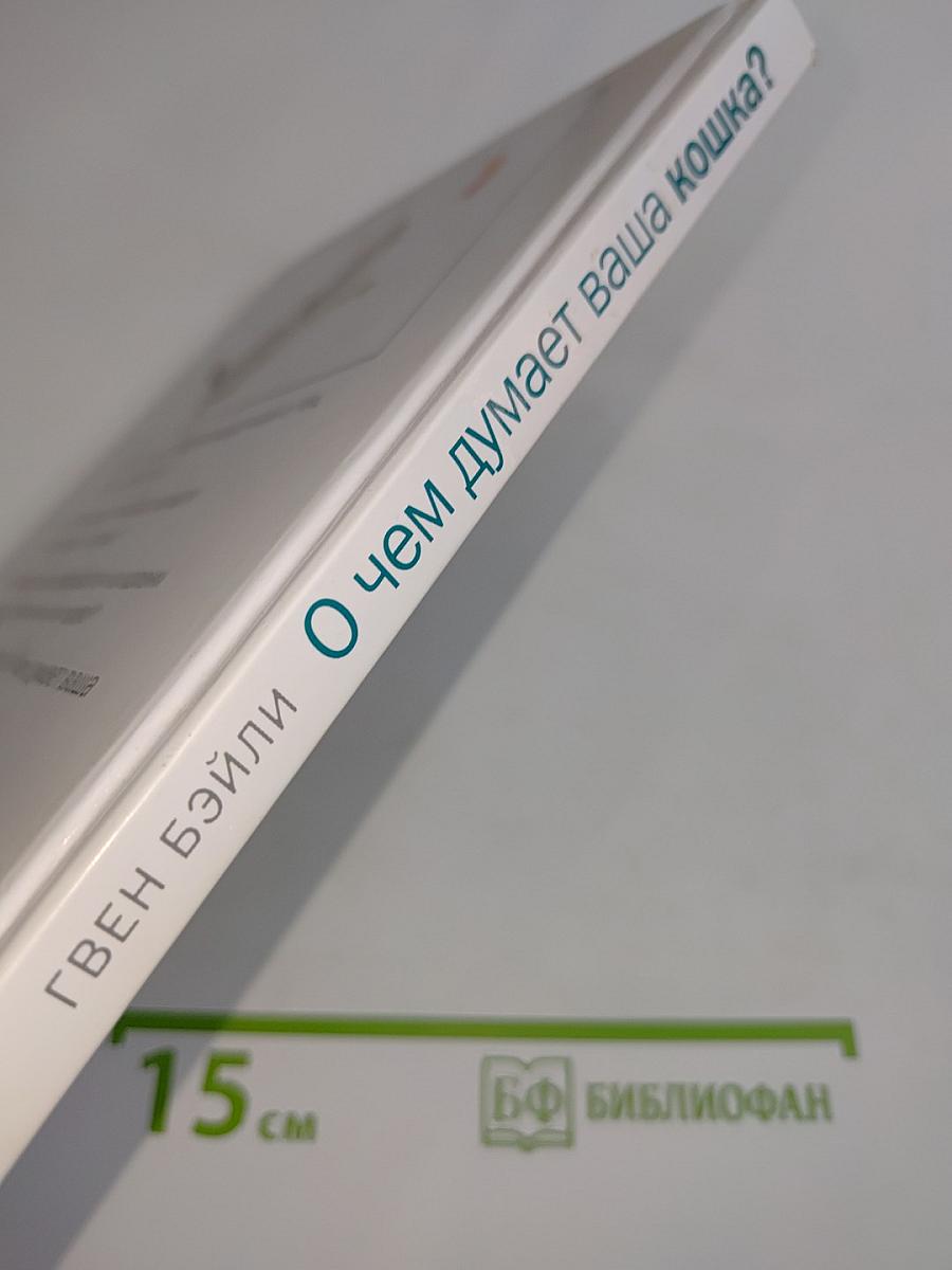 О чем думает ваша кошка?