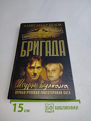 Бригада. Штурм вулкана. Книга 12