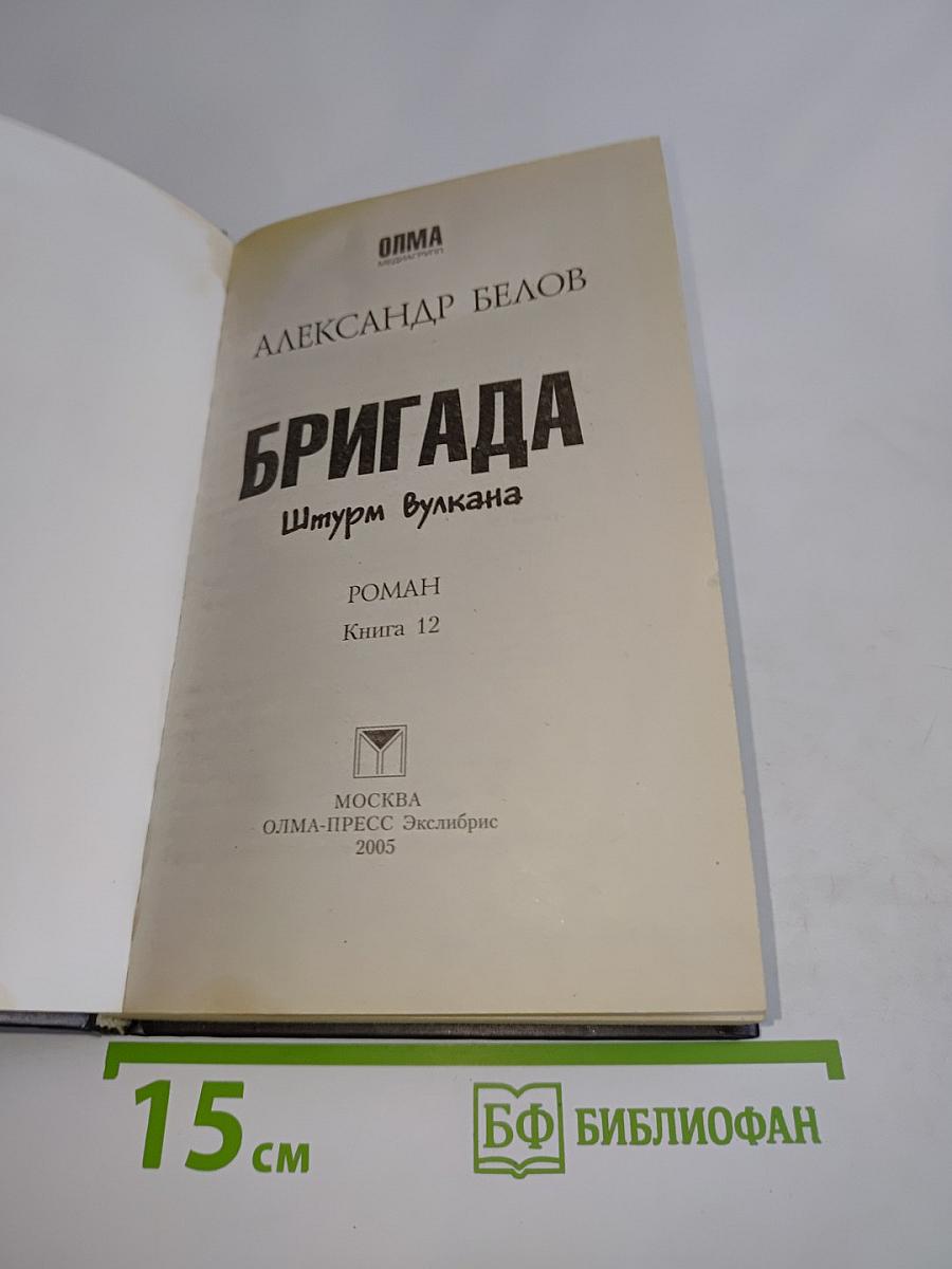 Бригада. Штурм вулкана. Книга 12