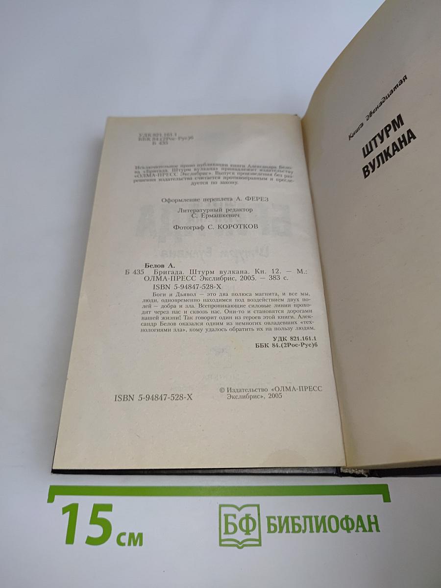 Бригада. Штурм вулкана. Книга 12