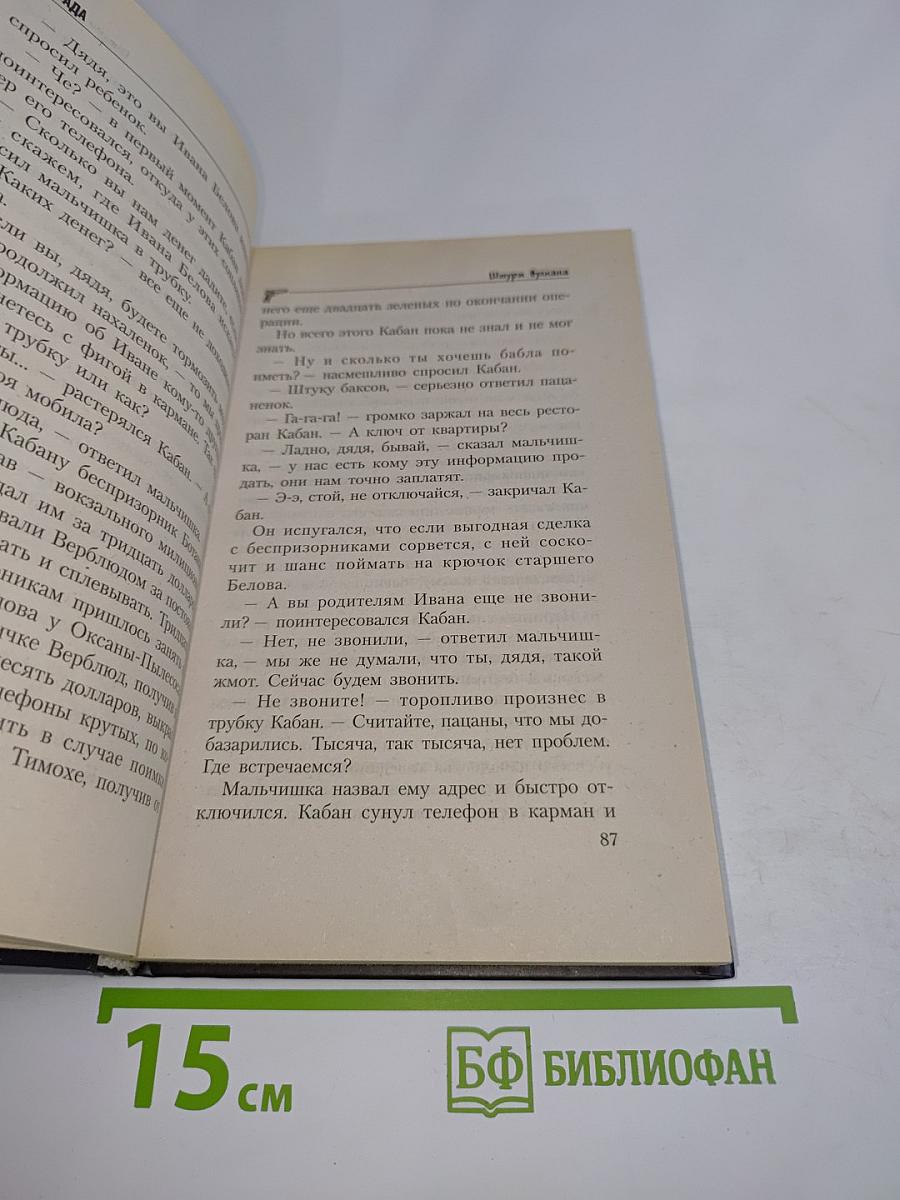 Бригада. Штурм вулкана. Книга 12