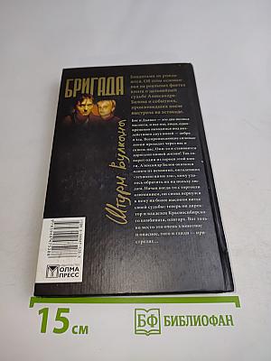 Бригада. Штурм вулкана. Книга 12
