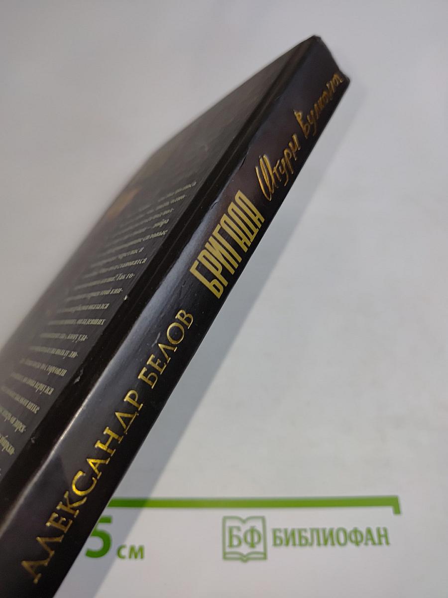 Бригада. Штурм вулкана. Книга 12