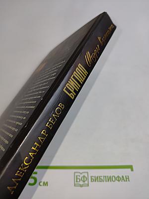 Бригада. Штурм вулкана. Книга 12