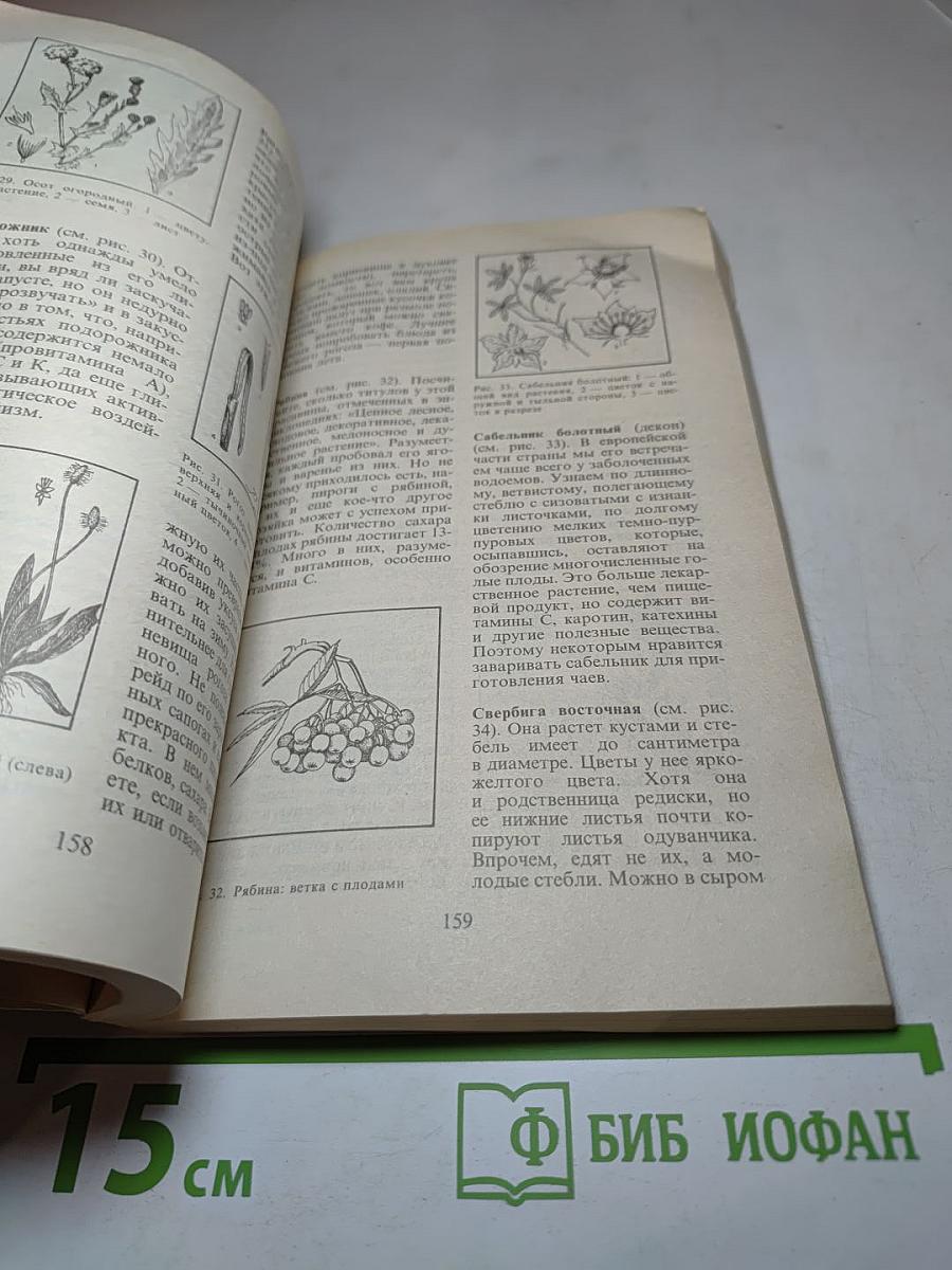 Кулинарная смекалка, или Все о резервах питания