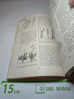 Кулинарная смекалка, или Все о резервах питания