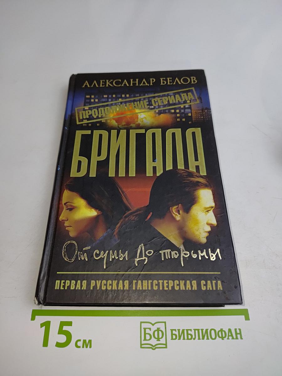 Бригада. От сумы до тюрьмы. Книга 10