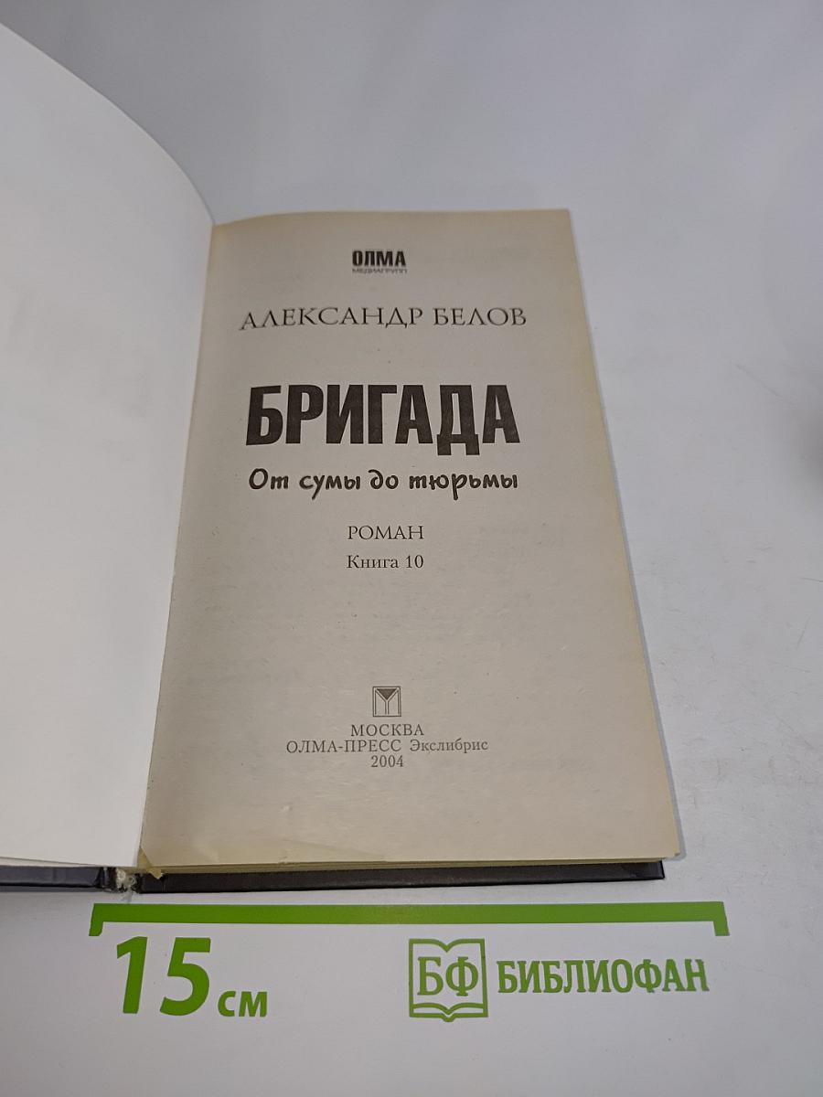 Бригада. От сумы до тюрьмы. Книга 10