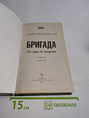 Бригада. От сумы до тюрьмы. Книга 10