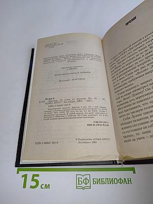 Бригада. От сумы до тюрьмы. Книга 10