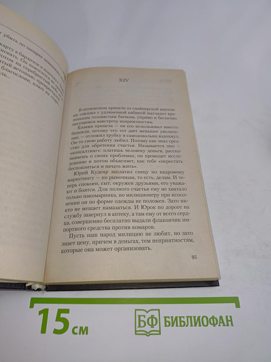 Бригада. От сумы до тюрьмы. Книга 10