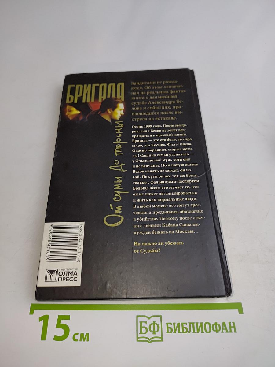 Бригада. От сумы до тюрьмы. Книга 10