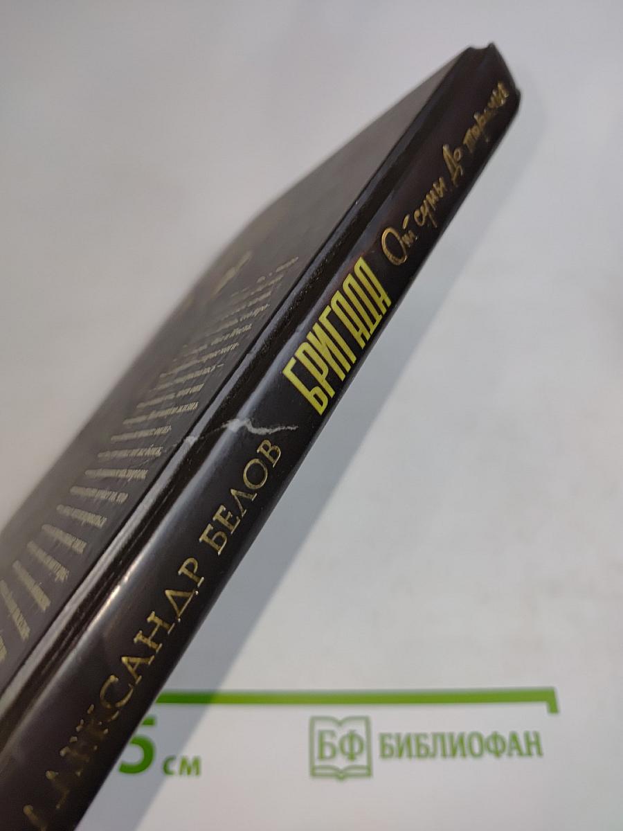 Бригада. От сумы до тюрьмы. Книга 10