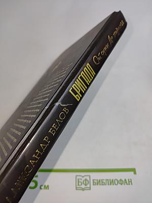 Бригада. От сумы до тюрьмы. Книга 10