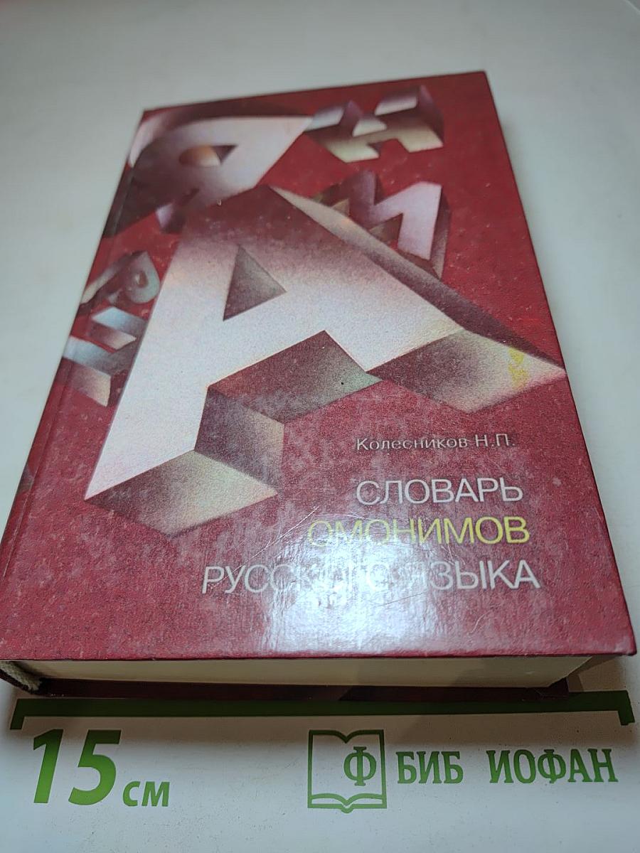 Словарь омонимов русского языка