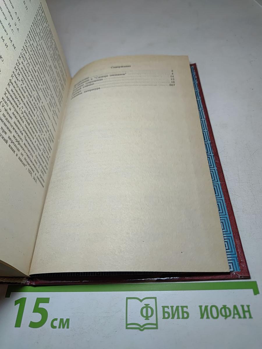 Словарь омонимов русского языка