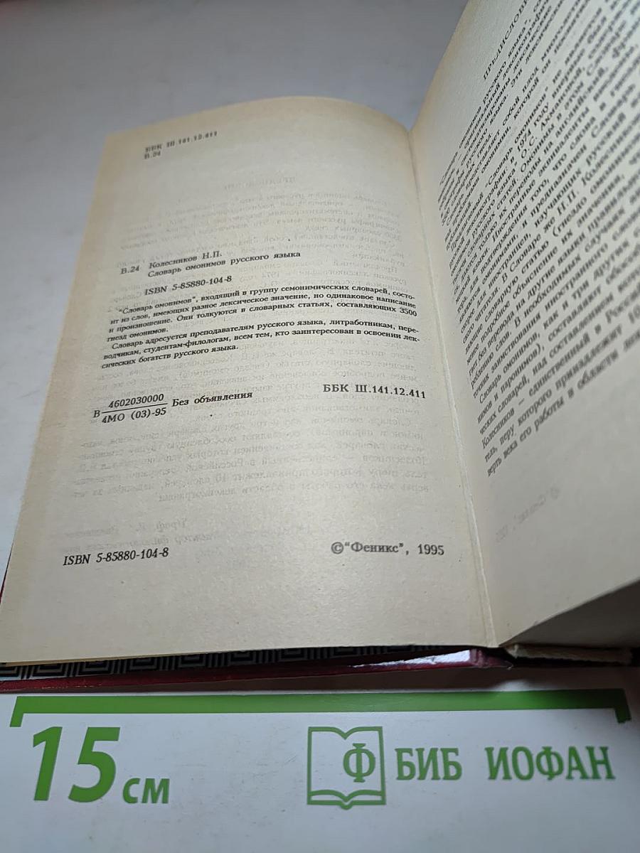 Словарь омонимов русского языка