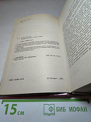 Словарь омонимов русского языка