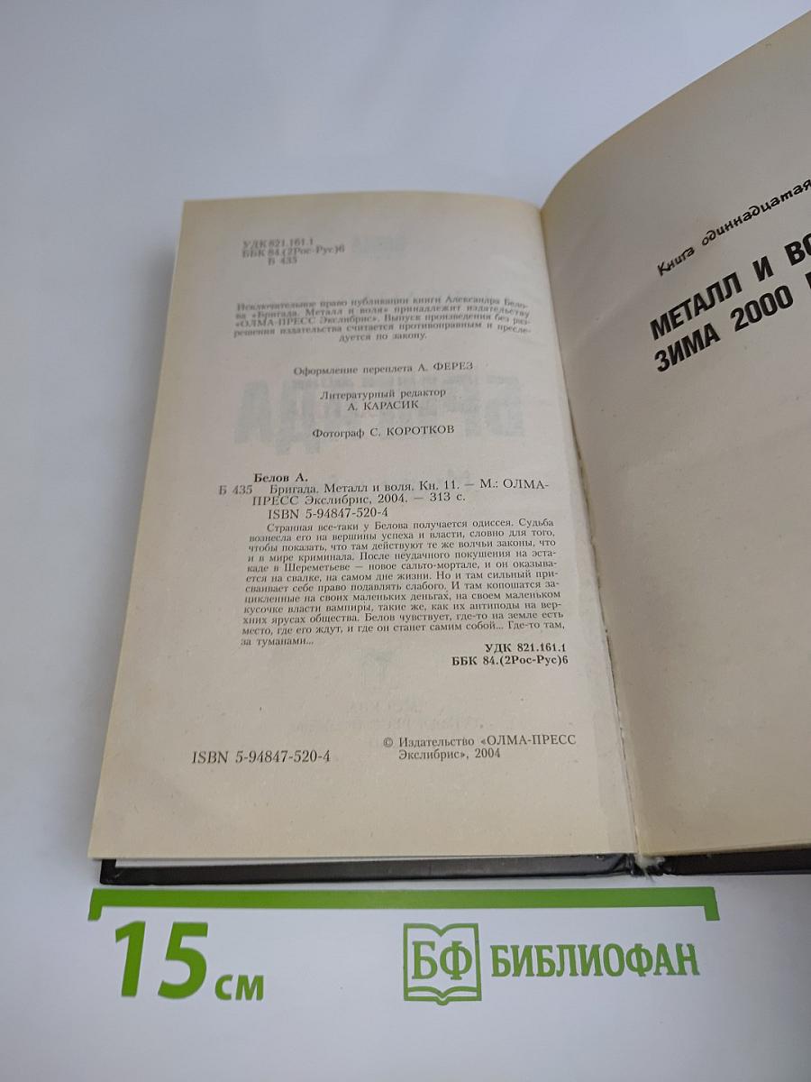 Бригада. Металл и воля. Книга 11