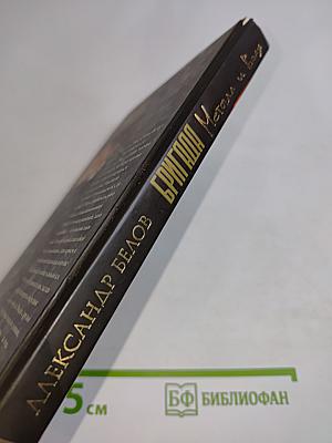 Бригада. Металл и воля. Книга 11