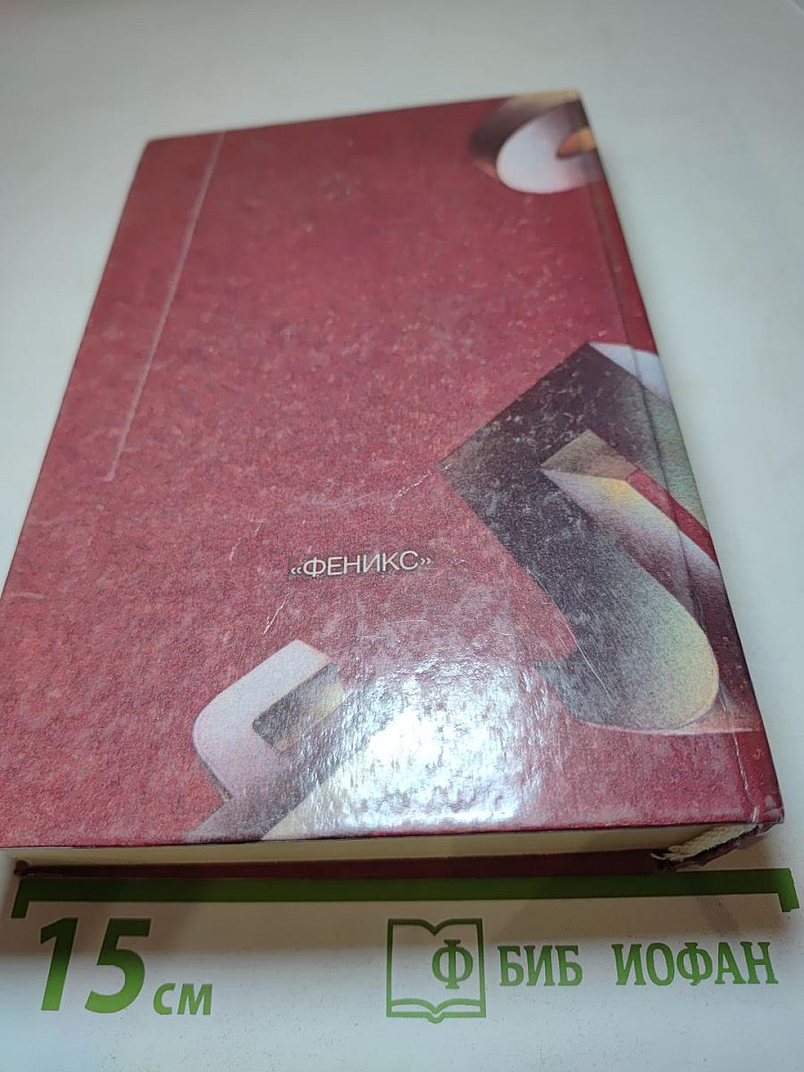 Словарь омонимов русского языка