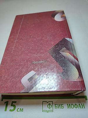 Словарь омонимов русского языка