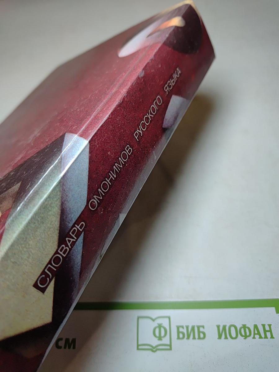 Словарь омонимов русского языка