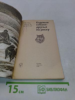 Ездовые собаки — друзья по риску