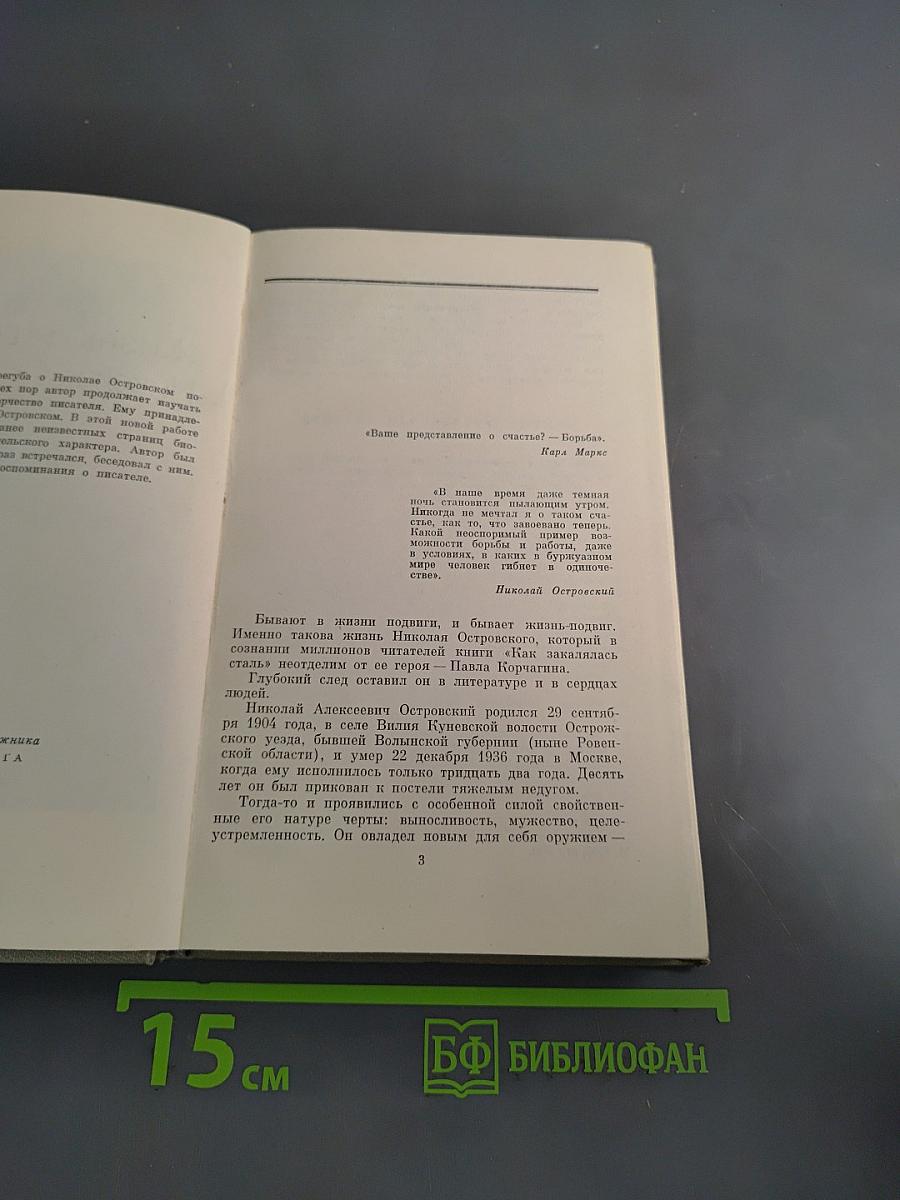 Жизнь и творчество Николая Островского