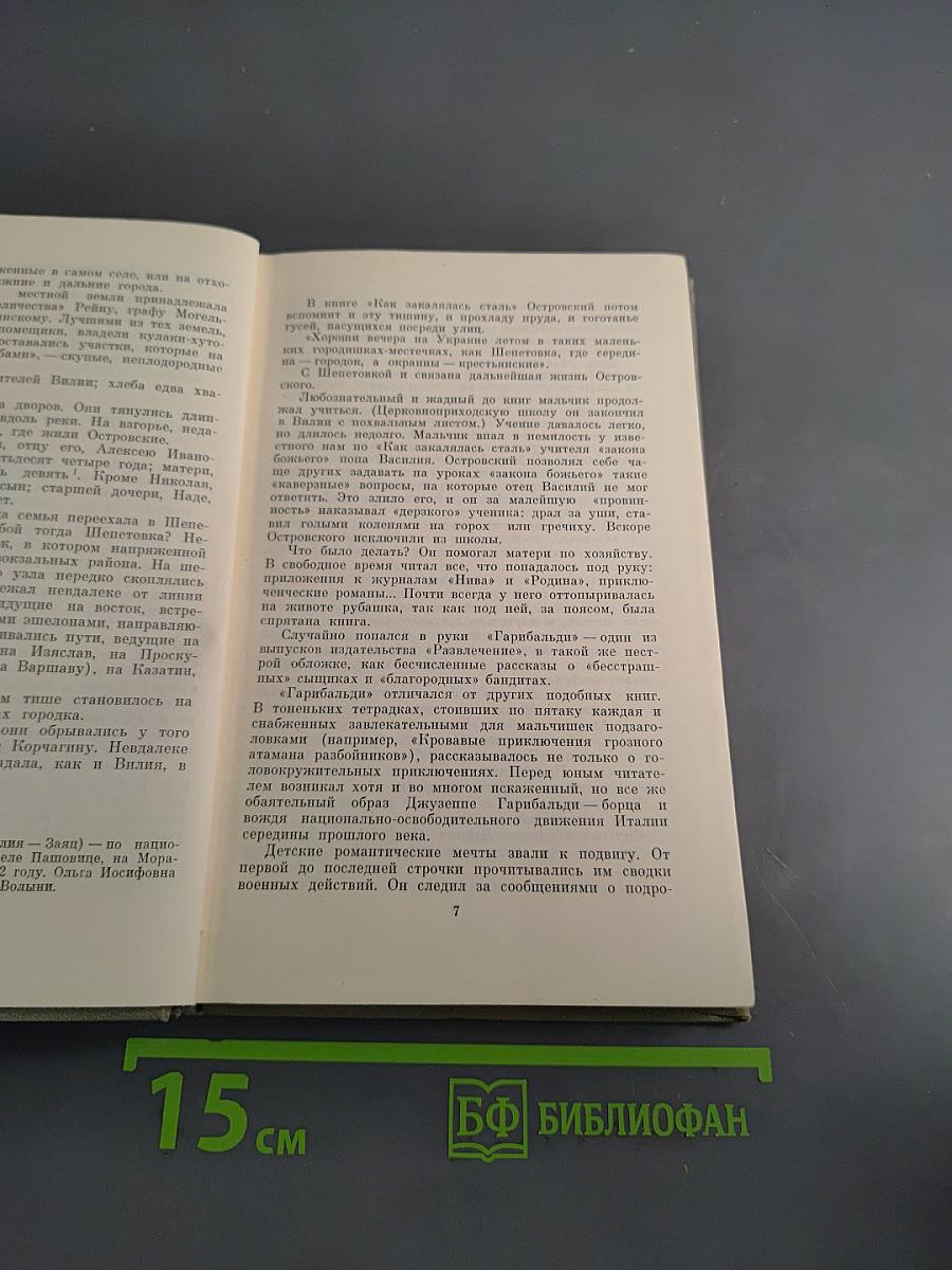 Жизнь и творчество Николая Островского