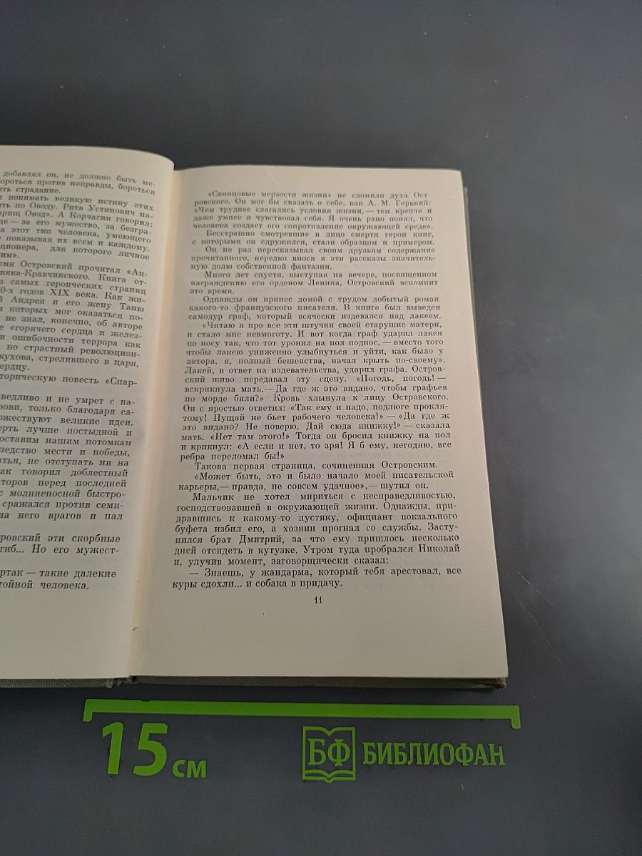 Жизнь и творчество Николая Островского